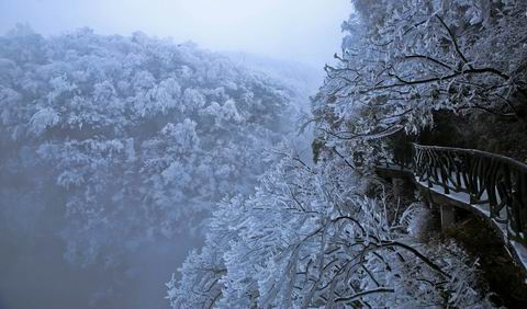 [遇见冬天]天上奇景:令人神往的天门山雪世界