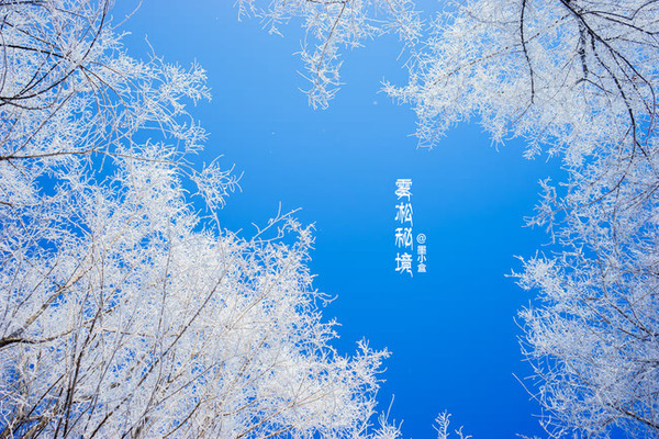 吉林丨雾凇秘境 玉树琼花