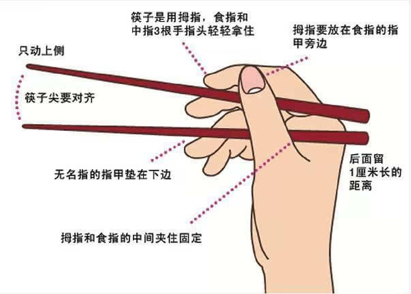 图中解析了五指握筷子的具体姿势, 共有7个要领,分别是