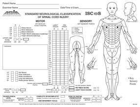 脊髓损伤神经学分类国际标准
