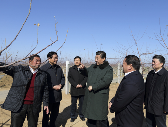 47年前，十五六岁的习近平，来到梁家河大队，开始了他艰苦却受益终生的插队岁月—住窑洞、睡土炕，忍耐跳蚤叮咬，与村民同吃同住，打坝挑粪、修公路、建沼气，在这里加入中国共产党，担任大队党支部书记……直到1975年秋天才离开这里，整整7年时间。