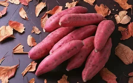 ȫ濾ع