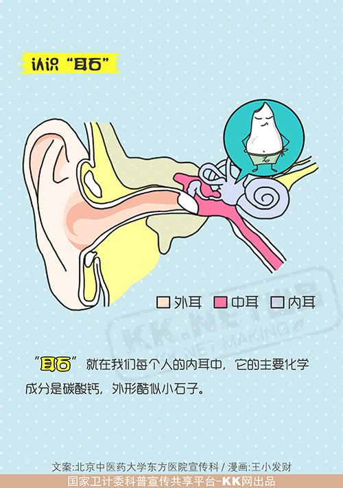 头晕的罪魁祸首——"耳石"