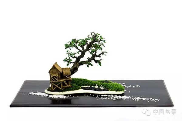 张夷: