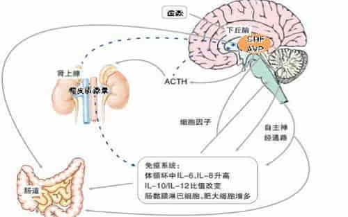 来自东京大学的研究人员阐明了toll样受体9(tlr9)结合病原体dna,激活