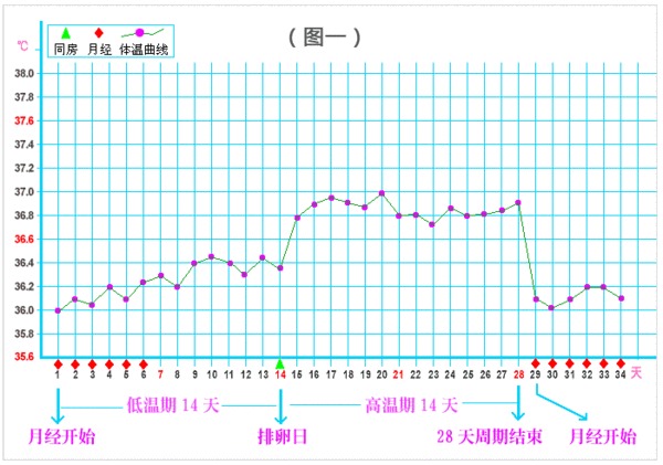 备孕那些事儿--自测排卵,让你一击即中!