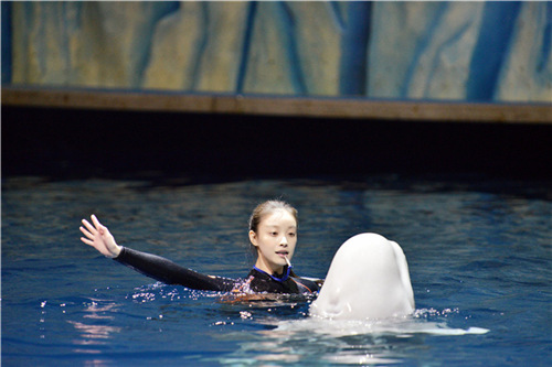 倪妮与白鲸奇妙共舞，上演水上华尔兹惊艳众人。