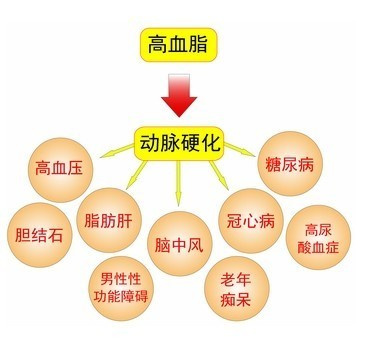 可是,三项基本的胆固醇成分却有好坏之分,即有的胆固醇升高,的确危害