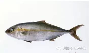 Ƶ,ӪֵΪḻ,ʳʰϸ,