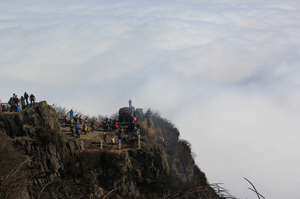 峨眉山市有多少人口_130亿助峨眉山再现辉煌,引领四川旅游产业发展新风向(3)