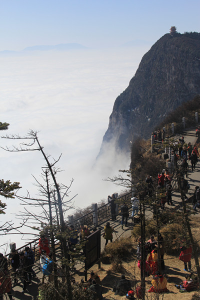 峨眉山市有多少人口_130亿助峨眉山再现辉煌,引领四川旅游产业发展新风向(3)