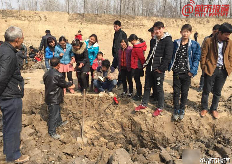 河南杞县现疑似宋朝古莲子 村民掀挖宝热(组图)-搜狐 ...