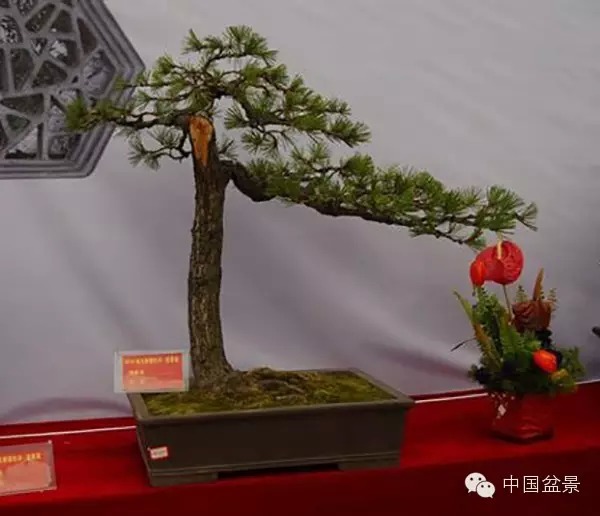 辰չƷ 辰ӭ!