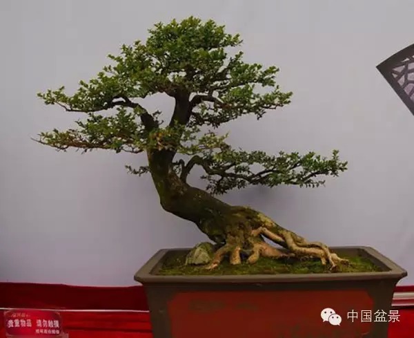 辰չƷ 辰ӭ!