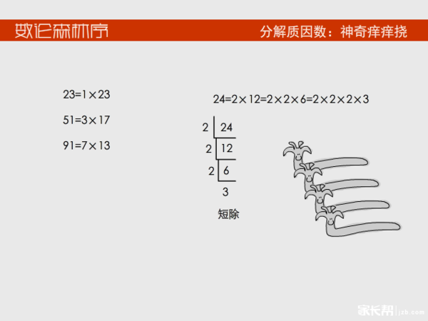 名师解读数论知识,有效!有笑!