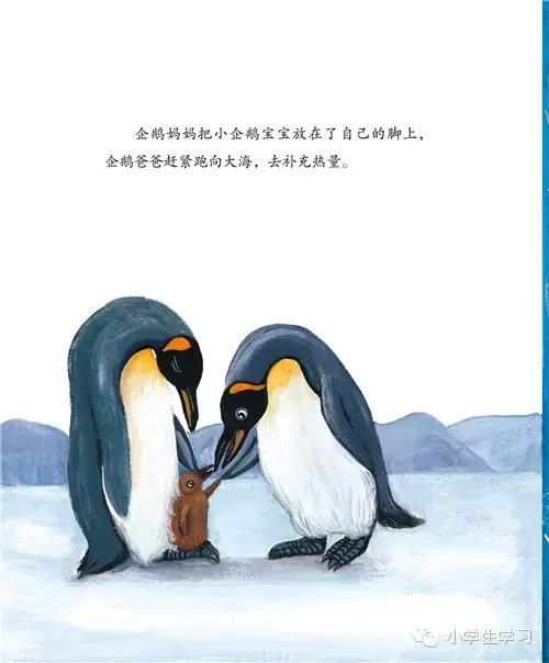 免费亲子绘本系列之三:王企鹅的幸运星(上)