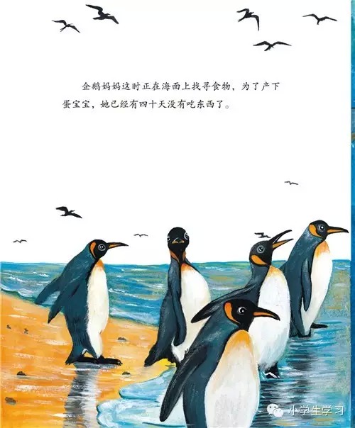 免费亲子绘本系列之三:王企鹅的幸运星(上)