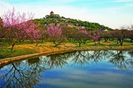 花样年华春花烂漫 寻找世界各地赏花地(组图)