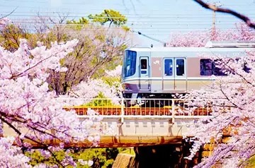 日本旅游-九州福冈熊本别府五日游-大连航空国