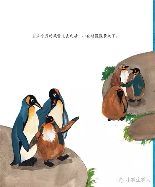 免费亲子绘本系列之三:王企鹅的幸运星(下)