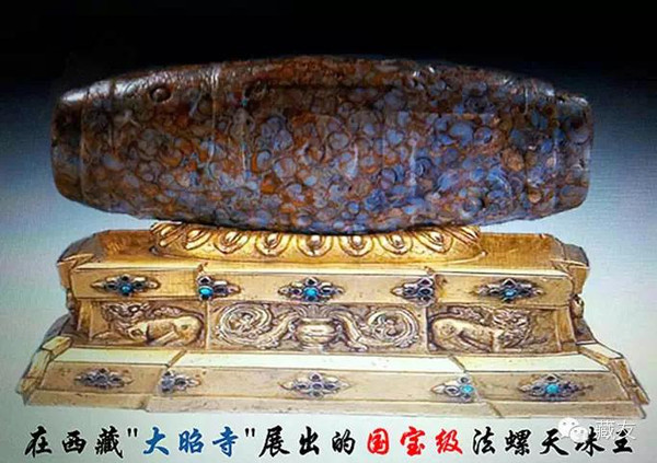 天珠收藏家的终极藏品----老法螺天珠- 中国陨石天珠论坛- 任南红山文化 