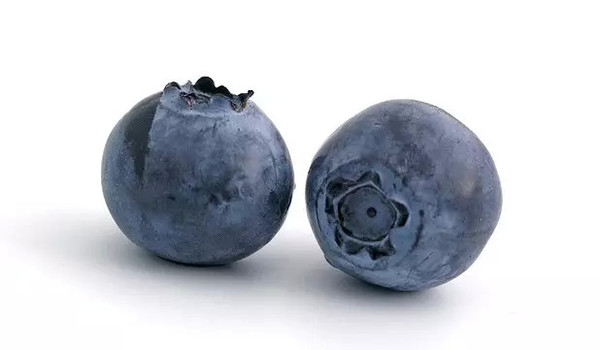 食材|一颗蓝莓的不老传奇