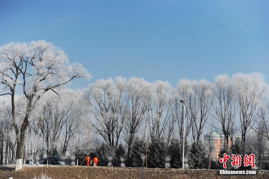 3月3日,在长春城区出现雾凇景观,街两旁的树木都被白绒绒的雾凇包裹