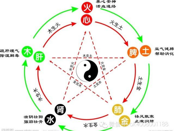 新知 ▎你听过心肝脾肺肾的声音吗?