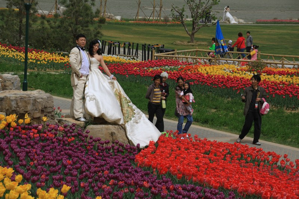 【春之美】北京鲜花港-陶醉在花的海洋