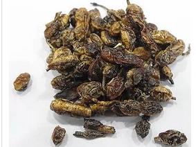 每天一味药——槐实(角)