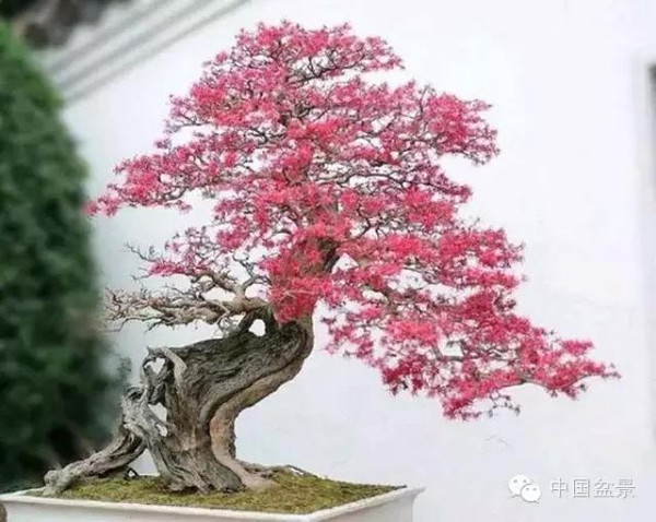全国联保售后维修中心