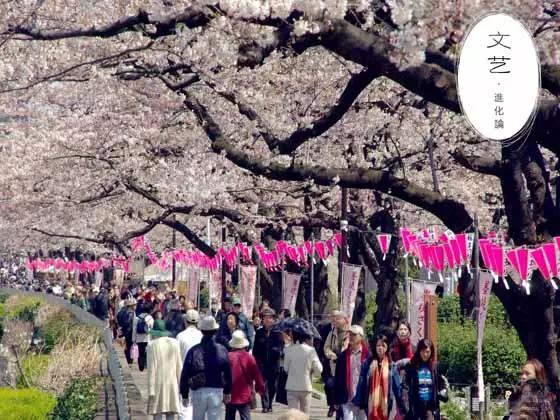 春天来了去这7个地方赏樱花吧！