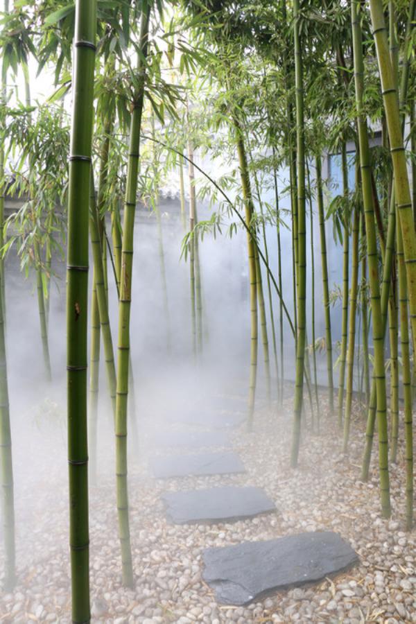 京兆尹作为京城数一数二的顶级素菜馆,由致力于推广素食文化的尹大为