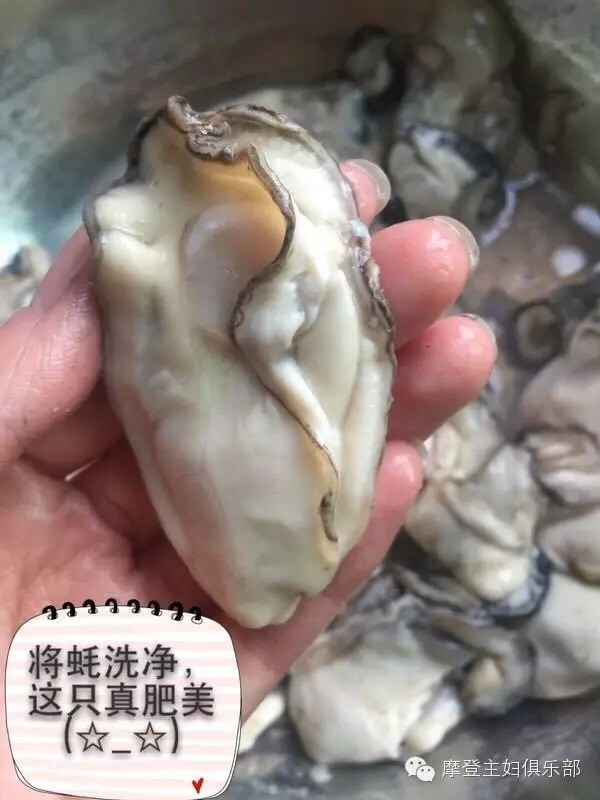 【摩登*肖肉肉】爱的厨房之烤生蚝,好吃就是这么霸道!