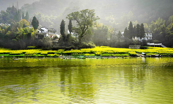 婺源—来中国最美乡村看油菜花海