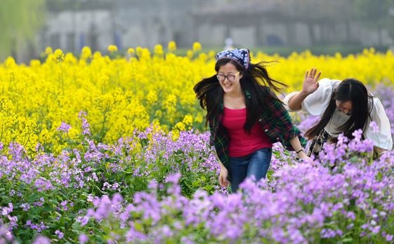 婺源—来中国最美乡村看油菜花海