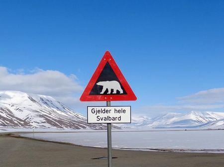 资料图：斯瓦尔巴特群岛一个提醒注意北极熊的标识牌。