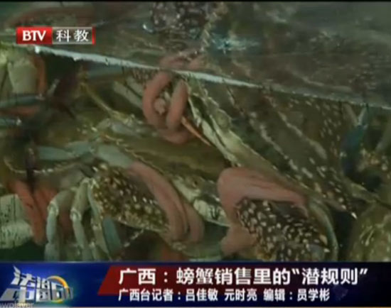 螃蟹属于海鲜吗_哺乳期可以吃螃蟹吗为什么(3)