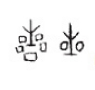 众所周知,汉字是象形文字,也就是说,华夏祖先最早的汉字记录源于"画"