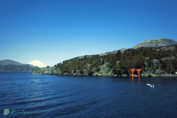 箱根 - 富士山下泡温泉