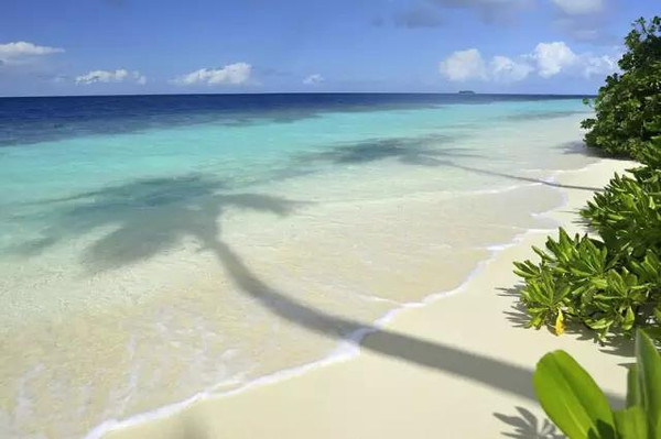 马尔代夫鲁滨逊岛怎么样?鲁滨逊岛攻略|马尔代