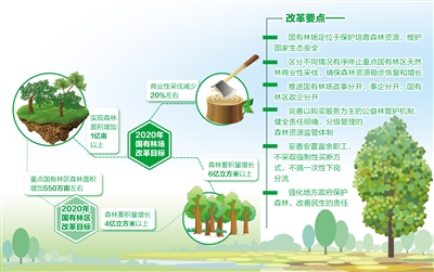 国有林业革新怎么厚实推动