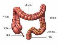 陈招娣_老女排功勋多受疾病困扰孙晋芳患癌陈招娣去世