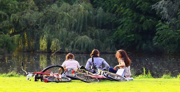 环球博览:为什么荷兰人那么爱骑自行车?