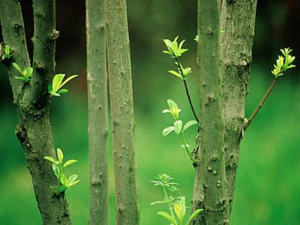 幸福网站的样子:老师眼中的7C教育资源网-搜狐