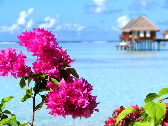 巴厘岛最佳旅游时间,巴厘岛旅行月份