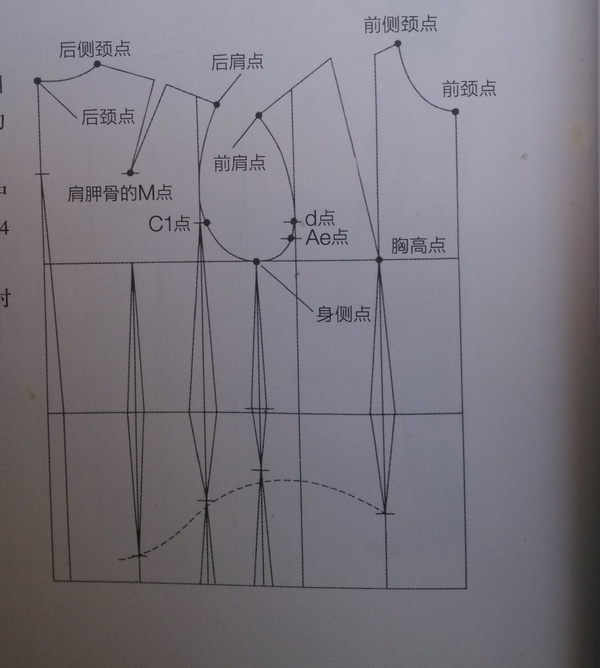 人体与测量基础知识