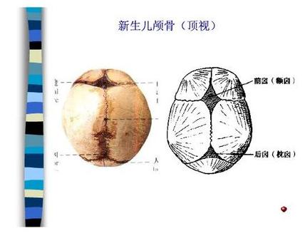 新生宝宝护理:宝宝头上的囟门护理知多少