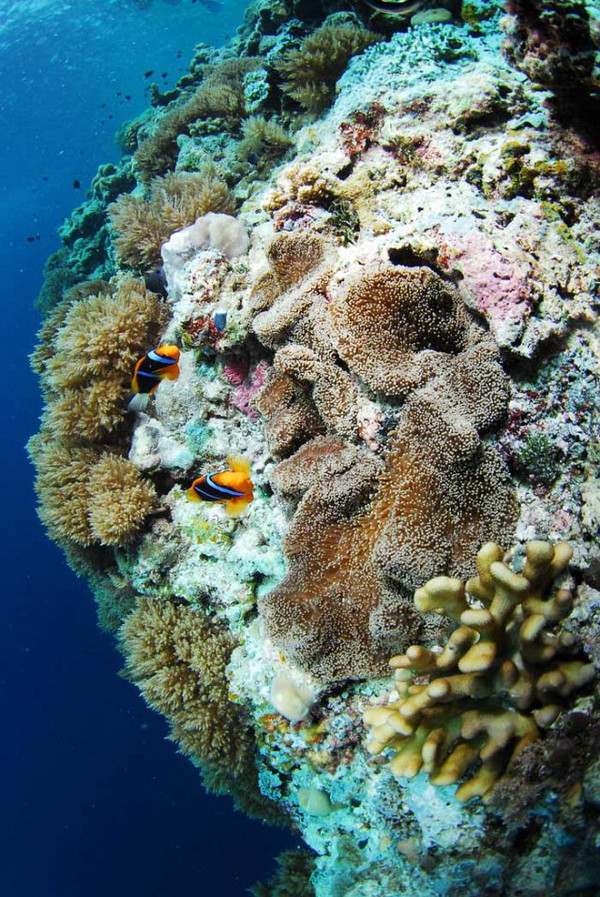 香港直飞帕劳航班飞机费用报价