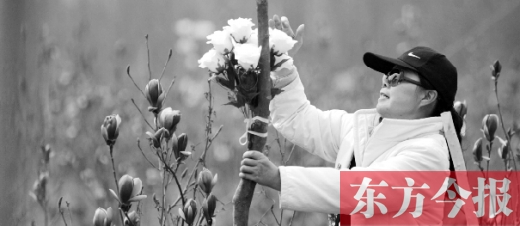 东方今报首席记者 赵丹/文 张晓冬/图